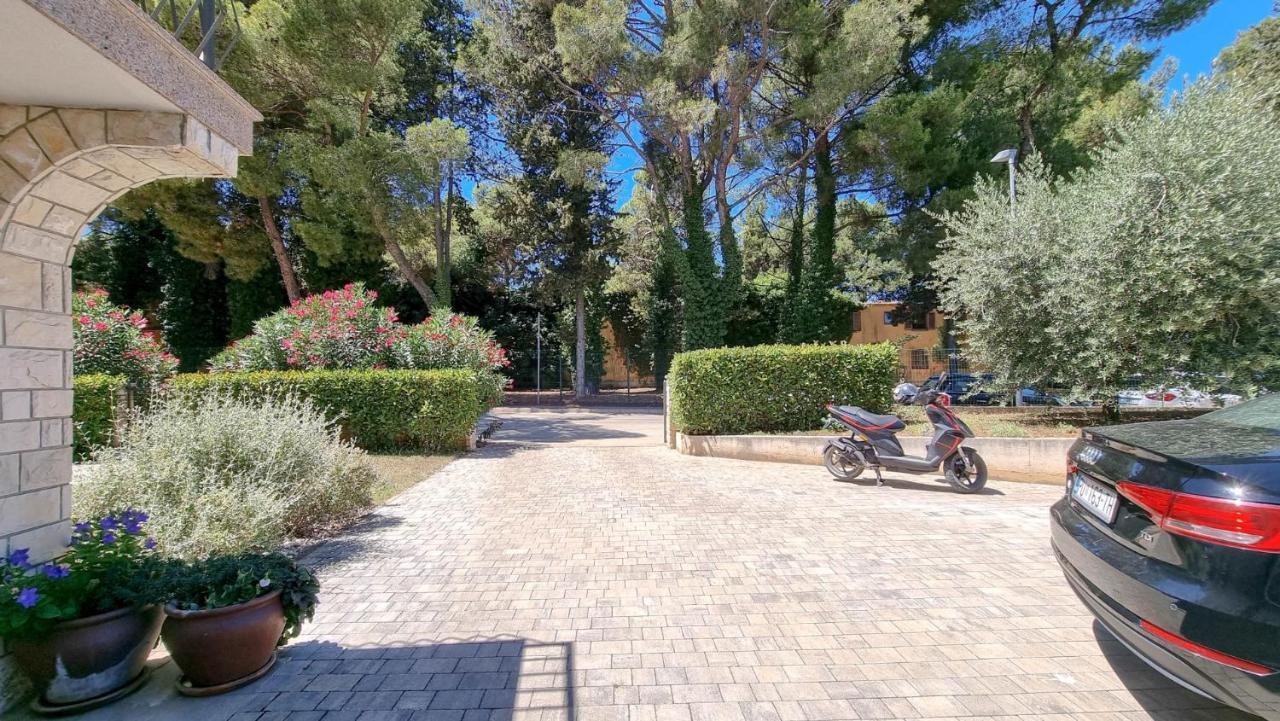 Appartement Ena à Novigrad Istria Extérieur photo
